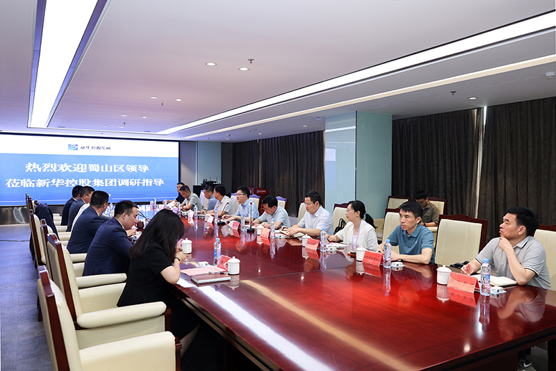 合肥市蜀山區委副書記、區長楊森一行深入新華控股集團調研指導